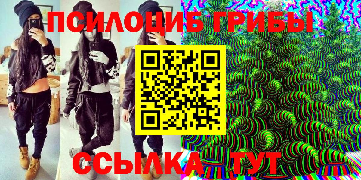 Псилоцибиновые грибы Cubensis  Вход с VPN  Заволжье 